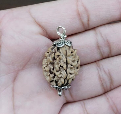 Beautum 3 Mukhi Rudraksha Certified Nepali | Rudraksha Pendant with Silver Cap(4) Wood Pendant
