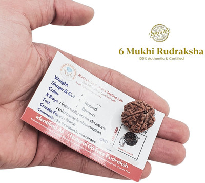 AstroVidhanart Natural 6 Mukhi Rudraksha six Face Rudraksha Metal Cap Beads Wood Locket