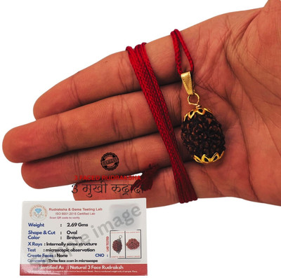 Madhur Creation Purest 3 Mukhi Rudraksha with Pendant from Nepal Original Certified by Lab Gold-plated Beads Brass Pendant
