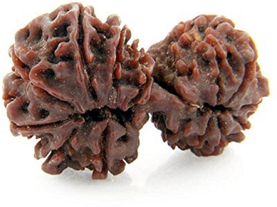 DIVINE SOUVENIRS Gauri shankar original rudraksha/ Gauri shankar 13 mukhi original rudraksha Wood Pendant