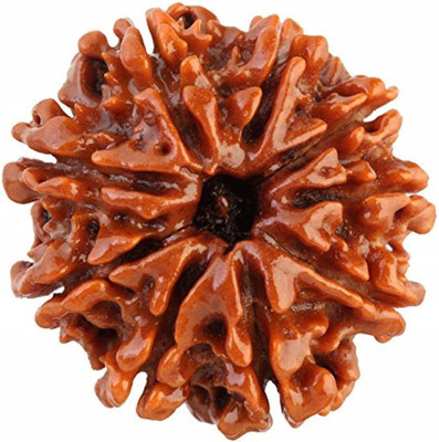 Shivtantra 9 Mukhi Rudraksha / 9 Face Rudraksha Silver Pendant With Lab Certificate 05 Wood Pendant