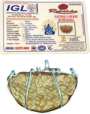 Shree Shankham 1 Mukhi Rudraksha Original Certified with IGL | by Shree Shankham | Mother of Pearl
