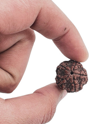 Astro Shop Imitation Simple Elegant Versatile Everyday Pendant Locket for Men Women Beads Wood Locket