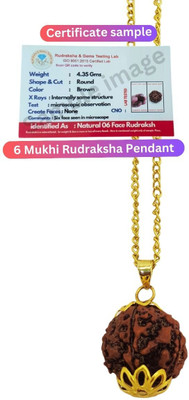 Madhur Creation Natural 6 Mukhi Rudraksha six Face Rudraksha Metal Cap Gold-plated Beads Brass, Wood Pendant