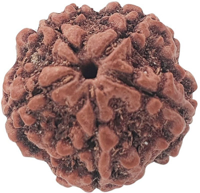 Bharat Collection 5 Mukhi Rudraksha Original Nepali Genuine Five Face Rudraksha Wood Pendant Beads Wood Pendant