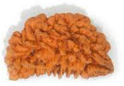 Jewelswonder Ek Mukhi Rudraksha / One Face Rudraksha / 1 Mukhi Rudraksh With Lab Certificate Wood Pendant
