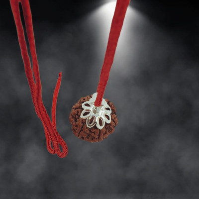 Plus Treasure 6 Mukhi Nepali Rudraksha six Face Rudraksha Nepali Lab Certified Wood Pendant Silver Beads Brass, Wood Locket