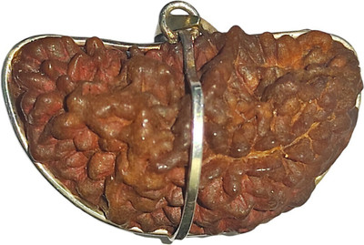 Nepali Rudraksha Ek Mukhi Rudraksha Original IGL Certified | Original Seller Nepali Rudraksha | Mother of Pearl Locket