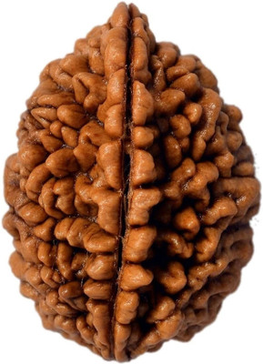 DIVINE SOUVENIRS Permuim Natural 2 Mukhi Nepali Rudraksha Bead with Certificate Wood Pendant