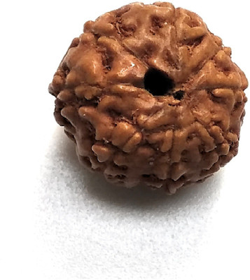 HAPPY CREATION 8 Mukhi Rudraksha Beads Wood Pendant