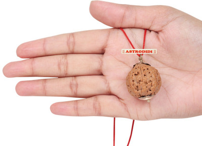 Astrodidi 9 Mukhi Rudraksha Big Size Nine Face Rudraksha Indonesian Origin with Lab Report Silver Wood Pendant