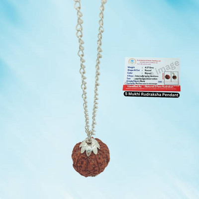 JangraBro Natural & Real 5 Mukhi Rudraksha Five Face Rudraksha Paach Face Rudraksh Silver Beads Brass, Wood Locket