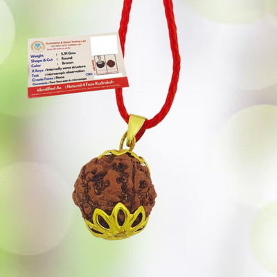 Shade Creation Brown 4 Mukhi Nepali Rudraksha Four Face Rudraksh Certified with Lab Report Gold-plated Beads Brass, Wood