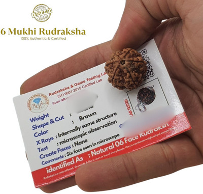 LOTUS Store Purest 6 Mukhi Rudraksha with Pendant from Nepal Original Certified by Lab Beads Wood Pendant