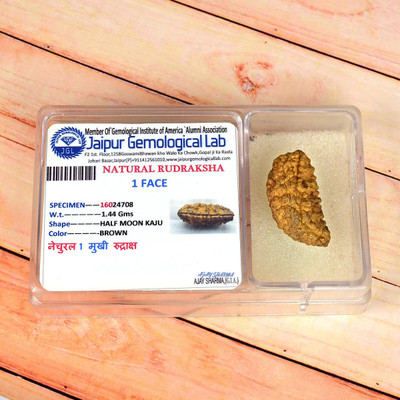 REIKI CRYSTAL PRODUCTS One 1 Mukhi Rudraksha Beads Original Lab Certified Beads Wood
