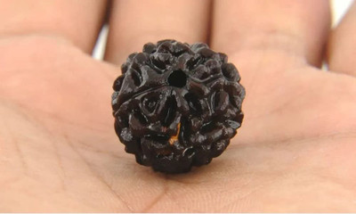 Ajesh Collections Natural lab certified Ek mukhi rudraksha GOL DANA bead in silver locket. Wood Pendant