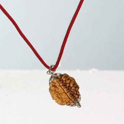 Fine Creation Rudraksha 2 Mukhi Nepali Rudraksha Certified 2 Faced Rudraksha for Men and Women Silver Wood Pendant