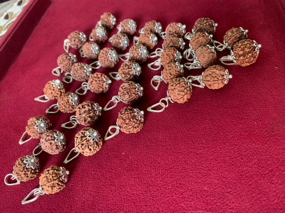 Rudraksham 6 Mukhi Nepali Rudraksha Pendant With Certificate Of Authenticity (Set of 35) Silver Brass Locket Set