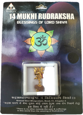 BHAKTI SHRINGAR 14 Mukhi Rudraksha Original Certified Lab Test & X-ray Report Sterling Silver Wood Pendant