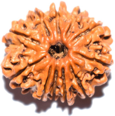 Jewelswonder 11 Mukhi Rudraksha Lab Certified Wood Pendant