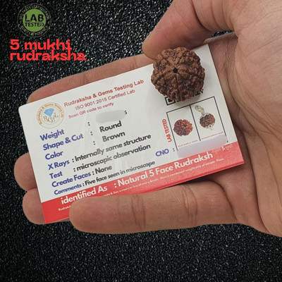 MysteriousThings Premium Five Mukhi Rudraksha / Original Nepali 5 faced / 5 Mukhi Rudraksha Beads Wood Locket