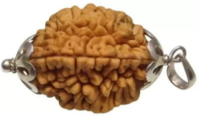 house of common Certified/Original Two Mukhi Rudraksha/Natural 2-faced For Men & Women Wood Pendant