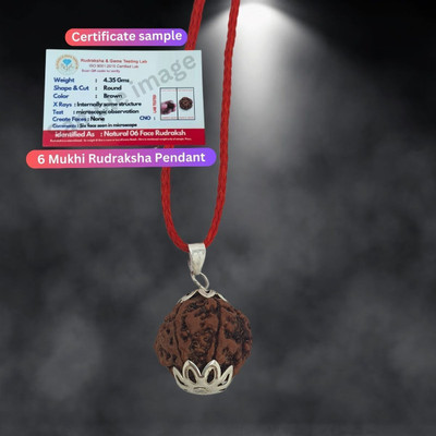 Haven gemsstone NATURAL 6 MUKHI ORIGINAL RUDRAKSHA NEPALI ORIGINAL FOR MEN AND WOMEN Silver Beads Brass, Wood Locket