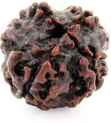 Fine Creation 4 Mukhi Rudraksha Four Faced Charr Nepali Rudraksh Bead Original and Certified Wood