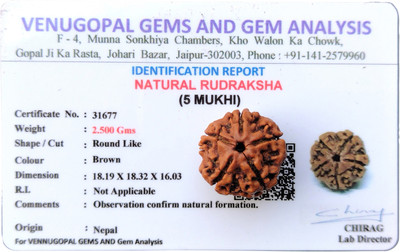 jupiter speaks 5 Mukhi Rudraksha Nepali With Lab Certificate Golden Brown Color Beads 18 mm Wood Pendant