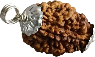RIKIJAZ 2 Mukhi Rudraksha – Certified Two Face Rudraksh Pendant Silver Wood Pendant