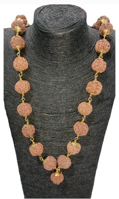 Nepali Rudraksha 5 Mukhi Nepali Rudraksha Original Certified | Original Seller Nepali Rudraksha | Mother of Pearl