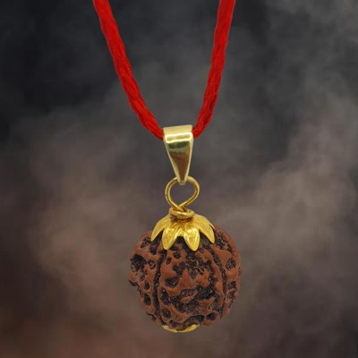 A1 yashvriddhi 6 mukhi Rudraksha pendant| natural & Certified | for unisex Gold-plated Beads Brass, Wood Locket