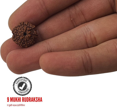 JangraBro 9 Mukhi Rudraksha Rare nine Faces Rudraksha With Java Indonesian Beads Beads Wood Pendant
