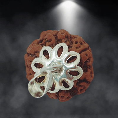 A1 yashvriddhi 6 Mukhi Rudraksha HRC Lab Certified Silver Beads Brass, Wood Locket Set