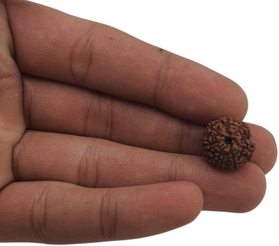 Kripalu store ORIGINAL(NEPALI) 7 MUKHI RUDRAKSHA Wood Pendant Beads Wood Locket
