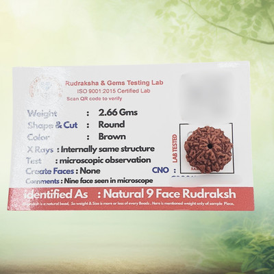 Haven gemsstone Premium nine Mukhi Rudraksha / Original Indonesia 9 faced / 9 Mukhi Rudraksha Beads Wood Locket