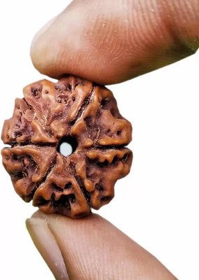 shahinpearlmart Natural Real 6 Mukhi Nepali Rudraksha Beads with Lab Certificate Wood Pendant