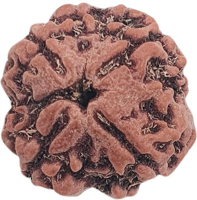 Hindustan Jewellery Original Nepali four Faced / 4 Mukhi Rudraksha Bead Beads Wood Locket