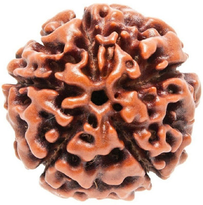 NAKSHATRA JUNCTION 5 Mukhi Rudraksha Nepali with Lab Certificate Wood Pendant