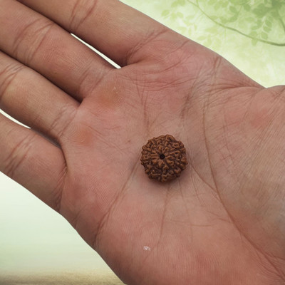 leahyallen 9 Mukhi Rudraksha nine Face Rudraksha Java Indonesian Rudraksha Code:1 Beads Wood Pendant