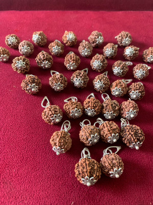 Rudraksham 6 Mukhi Nepali Rudraksha Pendant With Certificate Of Authenticity (Set of 30) Silver Brass Locket Set