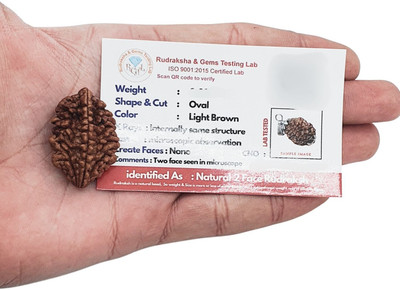 BHAKTI Kripalu Store 2 Mukhi Rudraksha two Faced dor Nepali Rudraksh Bead Original and Certified Beads Wood Locket Set