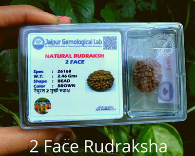 Deepak Shop Rudraksha ( Two Fcae ) Wood Locket