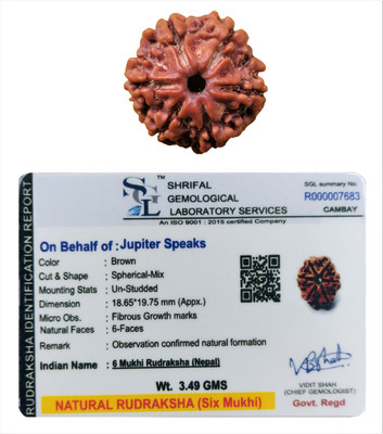 jupiter speaks 6 Mukhi Nepali Rudraksha Lab Certified Size 18-19 mm Natural Brown Wood Pendant