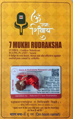 Divine rudras 7 Mukhi Rudraksha With Lab Certified Wood Pendant
