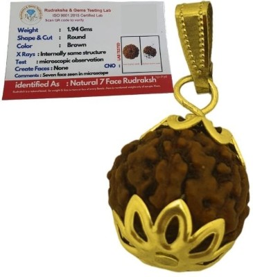 BHAKTI CHIMES 7 Mukhi Rudraksha Seven Face Rudraksha Nepali Rudraksha Code:1 Gold-plated Wood Locket