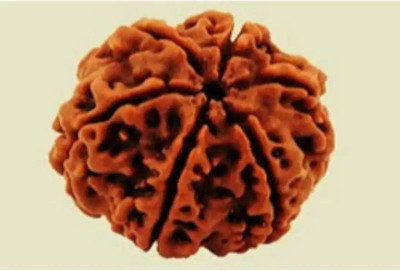 leahyallen 6 Mukhi/Six Face Rudraksha Brass, Wood Pendant