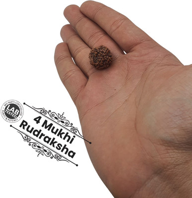 Kripalu store 4 Mukhi Rudraksha Original Certified IGL || Original Seller Nepali Rudraksha || Beads Wood Locket