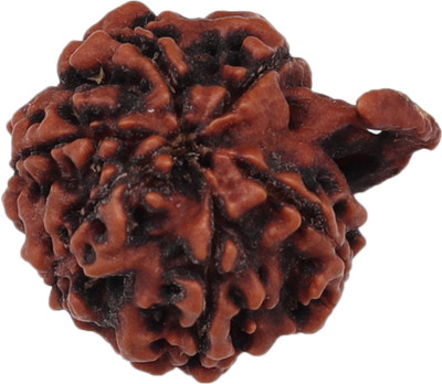 Rudrashan Ganesh Rudraksha (Original & Energised) – FreeAstroGuide™ Rudrashan™ Wood Locket