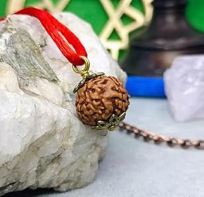 Shivtantra Pure 7 Mukhi Nepali Rudraksha Original seven faced rudraksha silver pendant Wood